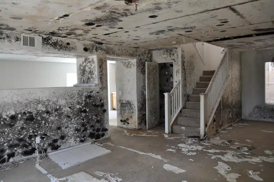 Advanced Damage Assessment